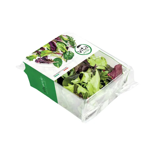 Salat Mesclum, VITA VERDE, 100 g