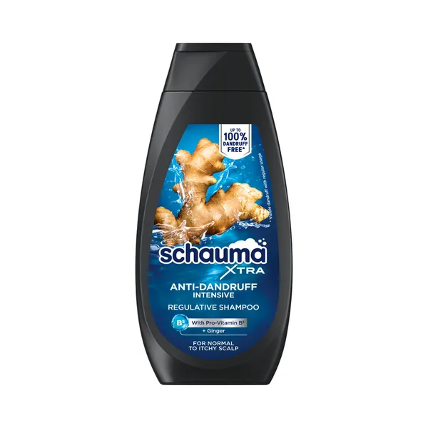 Šampoon Men Anti-Dandruff Intensive, SCHAUMA, 350ml