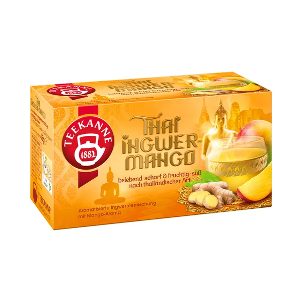 Tai ingveri tee niidiga kotis 20pk, TEEKANNE, 45 g