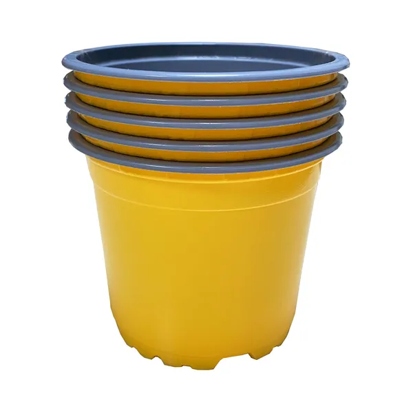 Ümarpott kollane mix, DESCH, 5 tk