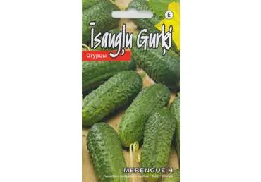 Agurkai MERENGUE H