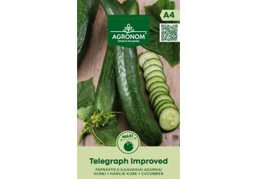 Agurkai „Telegraph“ 1 vnt.