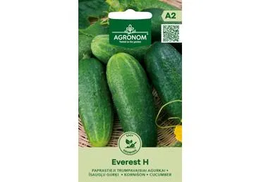 Agurkai trumpavaisiai EVEREST H,  AGRONOM