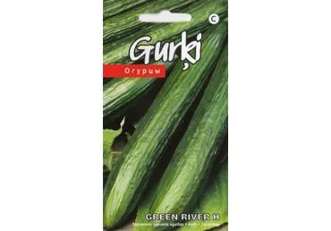 Agurkų sėklos GREEN RIVER H