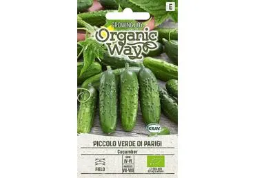 Agurkų sėklos PICCOLO VERDE DI PARIG,  ORGANIC WAY