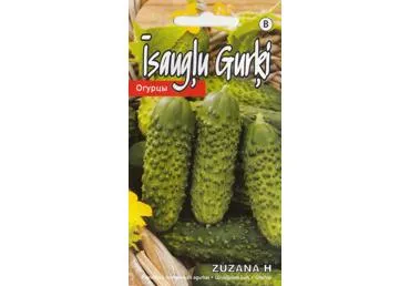 Agurkų sėklos ZUZANA H