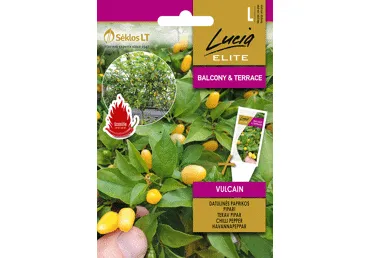 Sēklas. Čili pipari VULCAIN gab.