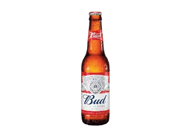 Alus BUD, 5,0%, 0,33 l