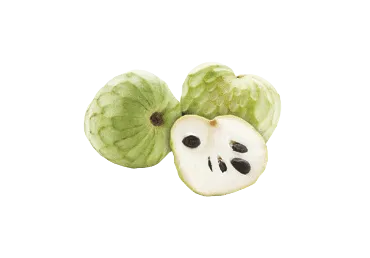 Anone Čerimoja gab.