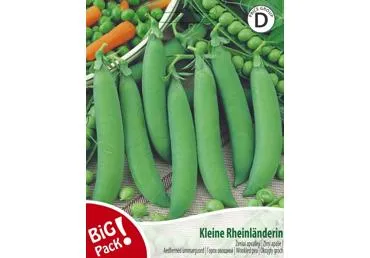 Žirniai Kleine Rheinländerin