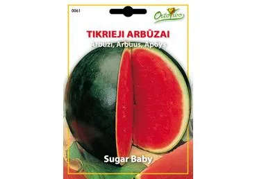 Arbūzai „Sugar Baby“ - 2
