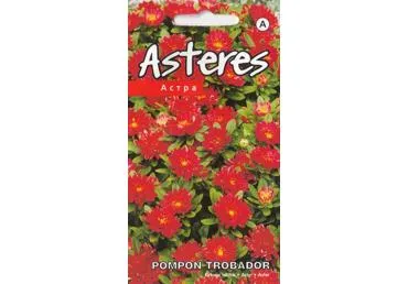 Astros Trobador red