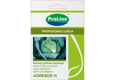 Baltagūžiai kopūstai  "Agresor H"  - 30s