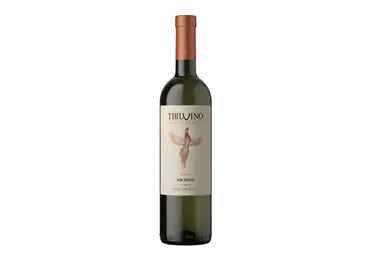 Baltasis pusiau sausas vynas SAHINO TBILVINO, 750 ml