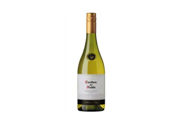 Baltasis sausas vynas CASILLERO CHARDONNAY, 0,75 l
