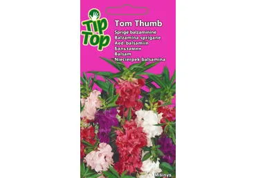 Sprigė Tom Thumb, mišinys