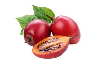 Tamarillo gab.