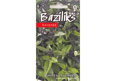 Bazilikai SPIRES LAVENDER