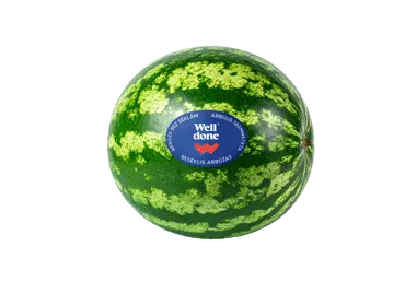 Besėkliai arbūzai WELL DONE, 1 kg