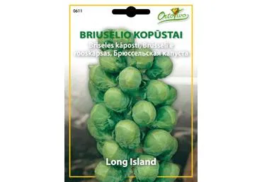 Briuselio kopūstai „Di Bruxelles Long Islands“ - 2,5