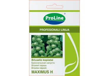 Briuselio kopūstai  "Maximus H" - 15s