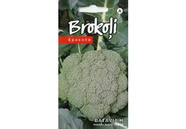 Brokoliai Batavia H