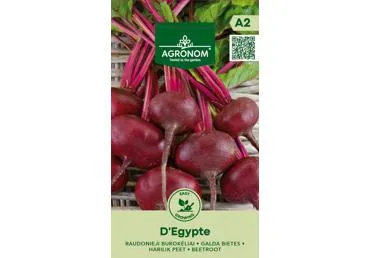 Burokėliai D'Egypte,  AGRONOM