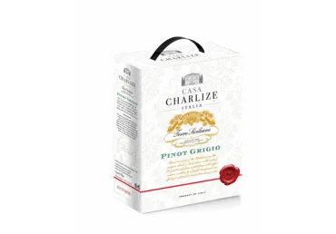 CASA CHARLIZE Pinot Grigio, Sausas baltasis vynas