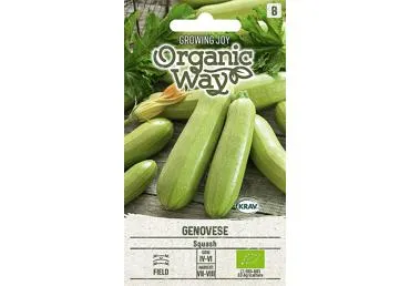 Cukinijų sėklos GENOVESE,  ORGANIC WAY