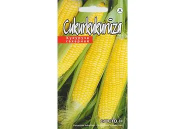 Cukriniai kukurūzai GUCIO H