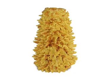 Šakotis, 1 kg