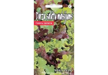 Daržo salotų mišinys BABY LEAF