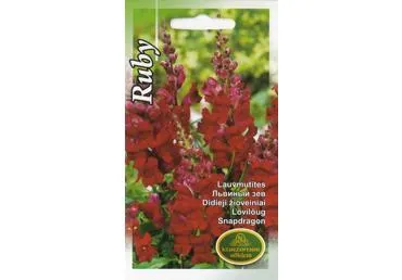 Didieji žioveiniai RUBY