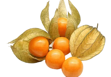 Dumplūnės, 100 g