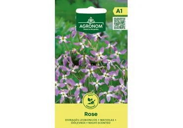 Dviragės leukonijos Rose,  AGRONOM