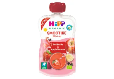 Ekol.obuolių, bananų, uogų glotnutis HIPP (nuo 12 mėn.), 120 ml