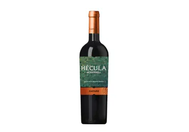 Ekologiškas raudonasis sausas vynas CASTANO HECULA, 750 ml