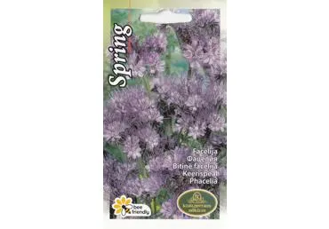 Facelija SPRING