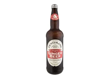 Gaz. imbierinio alaus sk. gaiv.gėrimas FENTIMANS GINGER BEER, 750 ml