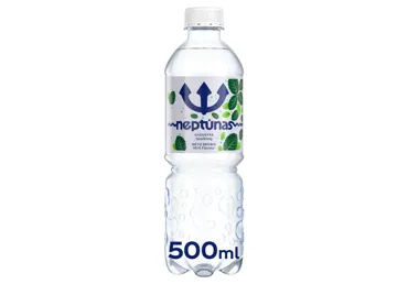 Gazuotas mėtų skonio vanduo NEPTŪNAS, 500 ml