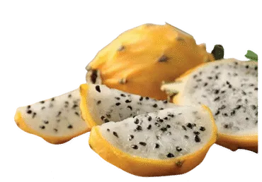 Pitaija dzeltena gab.