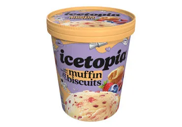 Grietininiai valgomieji ledai ICETOPIA su miško uogų įdaru, sausainiais, 310 g