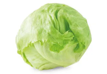 Gūžinės salotos ICEBERG, 10 d., 1 vnt.