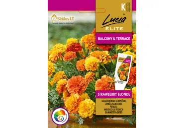 Sēklas:Samtenes zemās  Strawberry B gab.