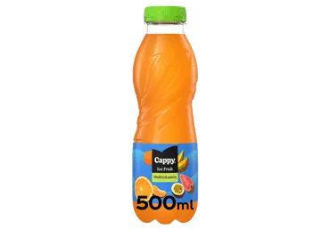 Įvairių vaisių gėrimas CAPPY ICE FRUIT, 500 ml