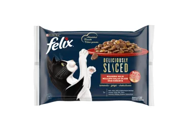 Kačių ėdalas FELIX drebučiuose su mėsa, 320 g