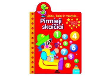 Knyga PIRMIEJI SKAIČIAI, 1 vnt.