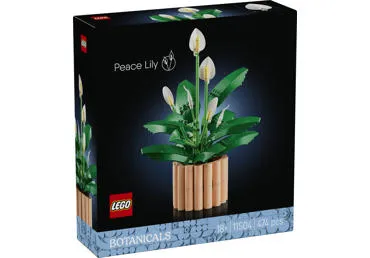 Konstruktorius LEGO Taikos Lelija 11504