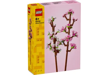 Konstruktorius LEGO VYŠNIŲ ŽIEDAI 40725, 1 vnt.