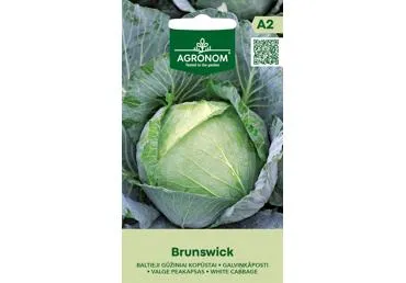 Kopūstai BRUNSWICK,  AGRONOM